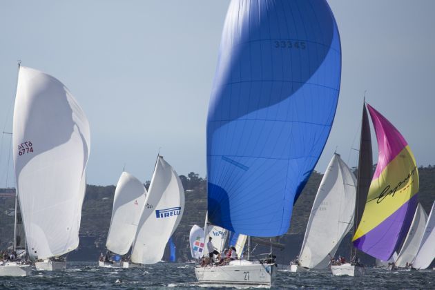 The Harbour was a blaze of colour. Photo David Brogan, www.sailpix.com.au.